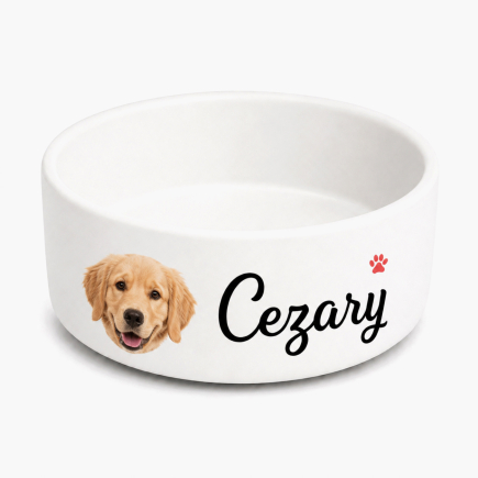 fénykép