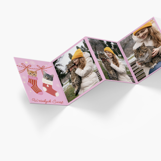 Harmonika fotókból, Merry moments