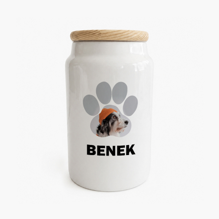 fénykép