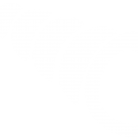 clipart fotóalbumok