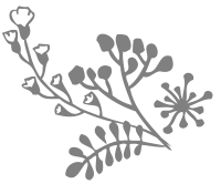clipart fotóalbumok